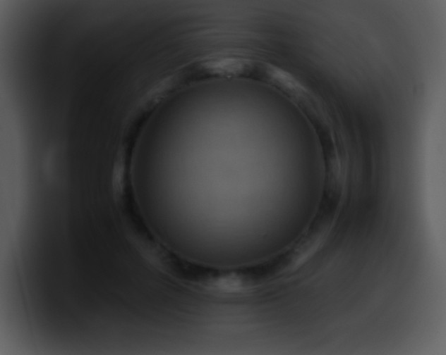 X0000100420600200806061404