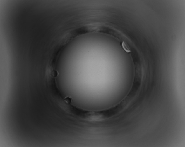 X0000100420601200806061404