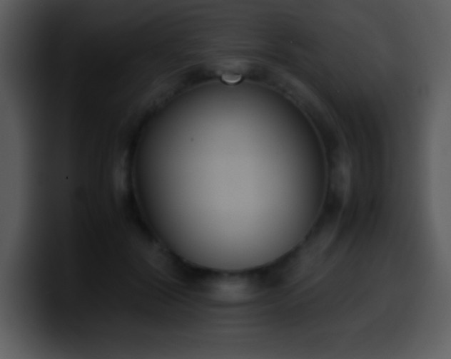 X0000100420604200806061404