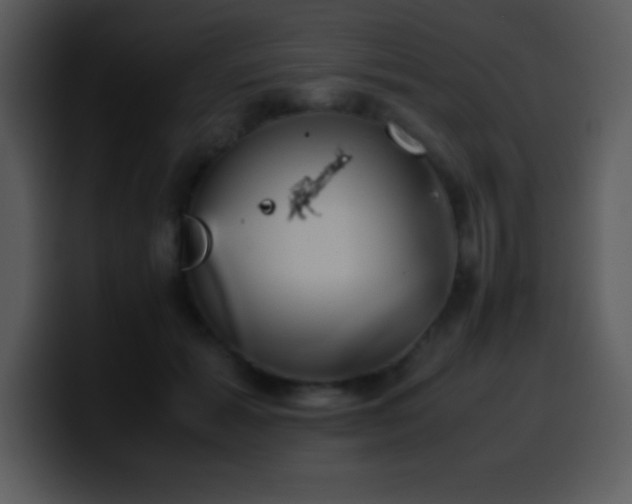 X0000100420605200806061404