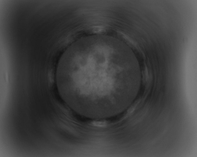 X0000100420606200806061404