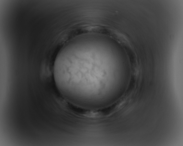 X0000100420607200806061404