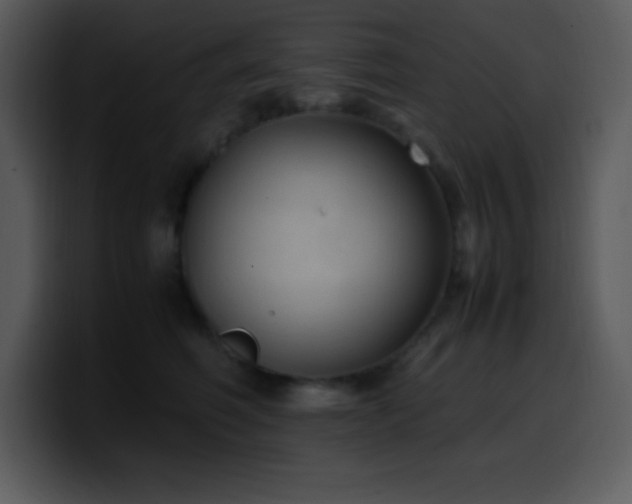 X0000100420614200806061404