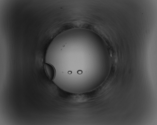 X0000100420615200806061404