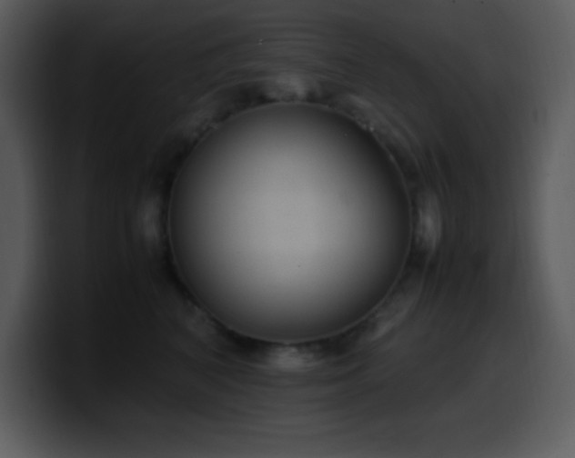 X0000100420616200806061404