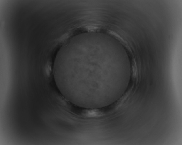 X0000100420618200806061404