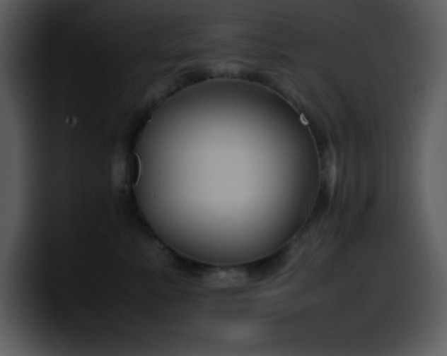 X0000100420619200806061404