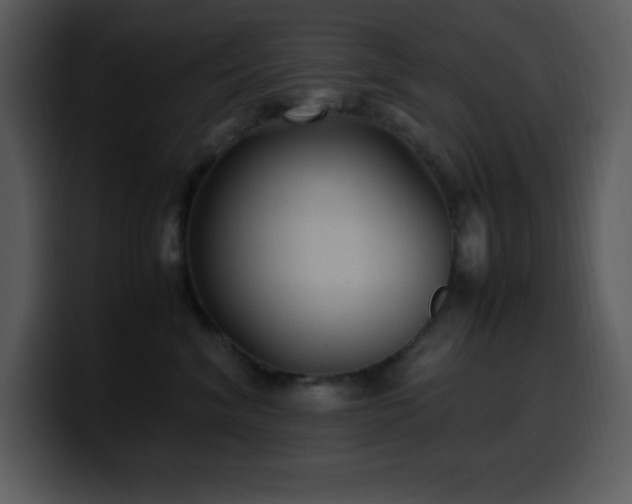 X0000100420620200806061404