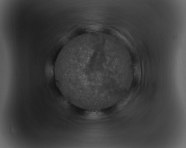 X0000100420621200806061404