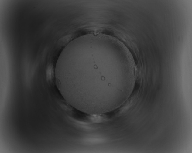 X0000100420623200806061404