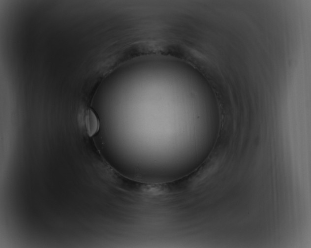 X0000100420624200806061404