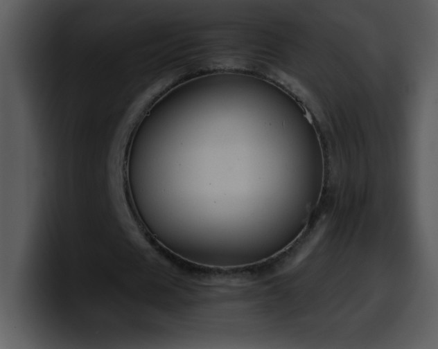 X0000100420625200806061403