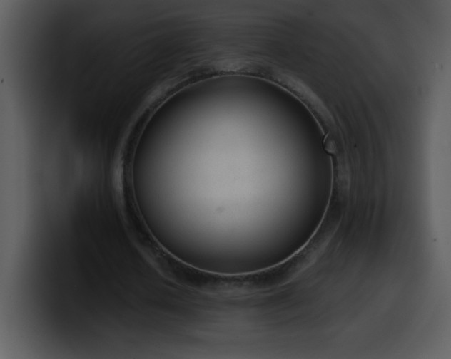 X0000100420626200806061403