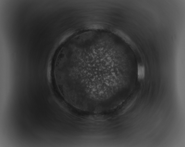 X0000100420627200806061403