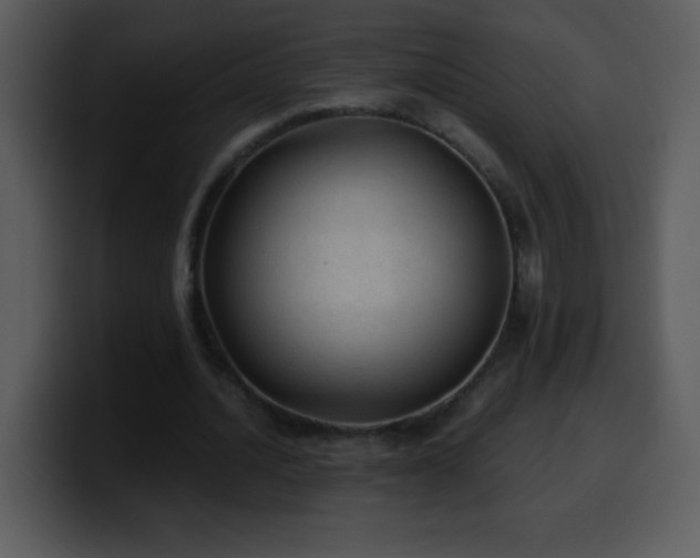X0000100420628200806061403