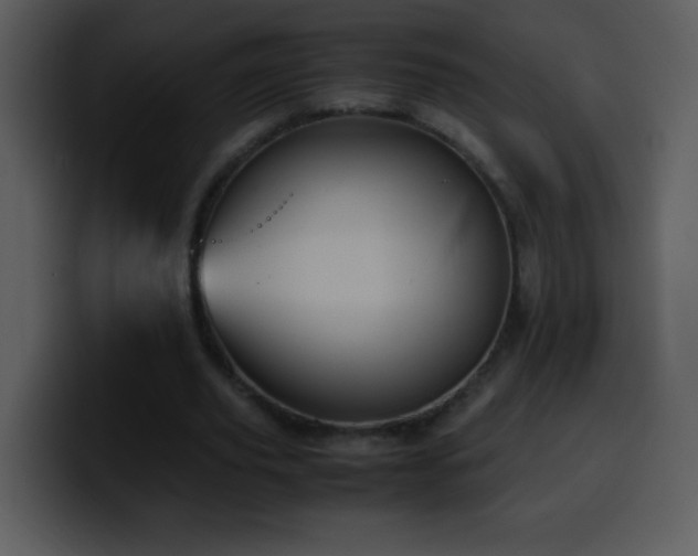X0000100420629200806061403