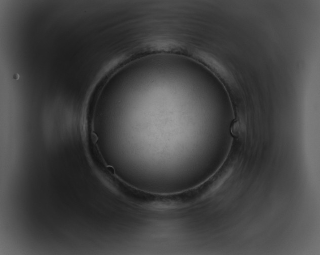 X0000100420630200806061403