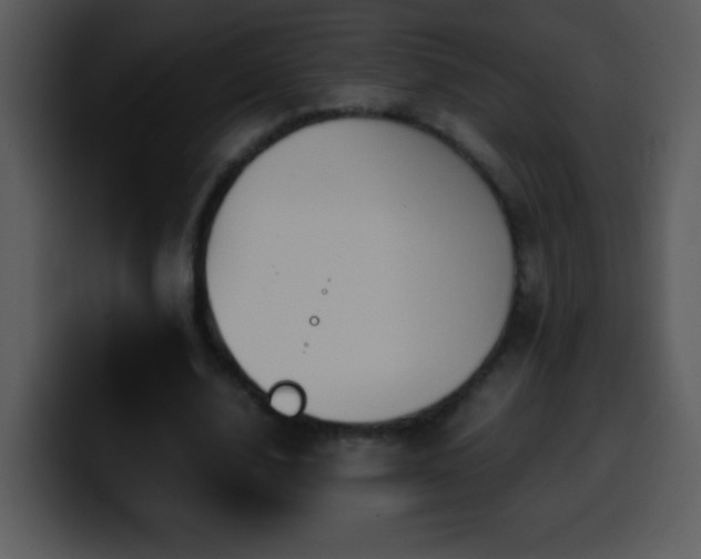 X0000100420632200806061403