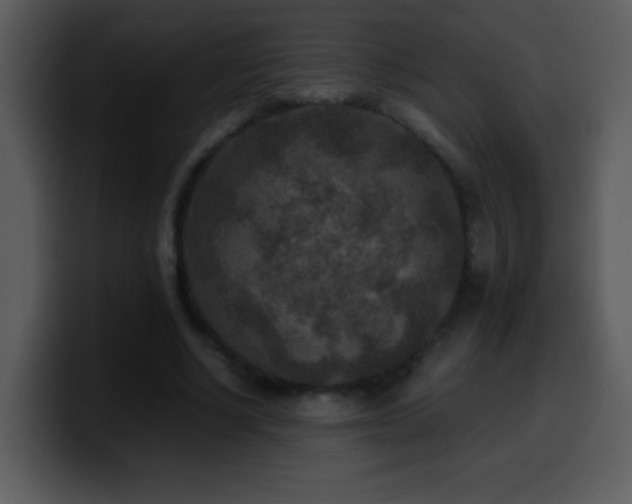 X0000100420634200806061404