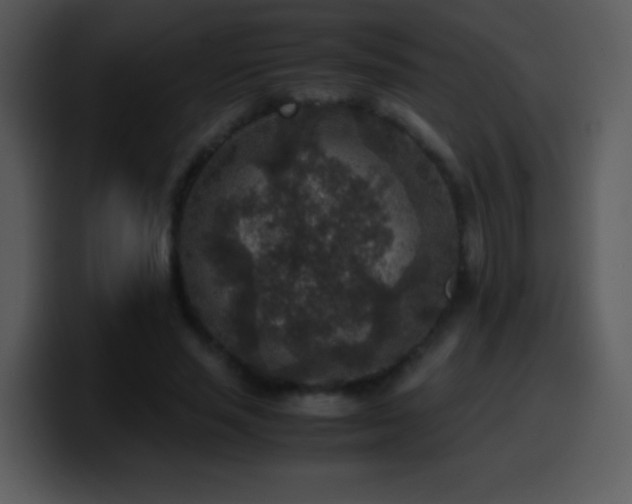 X0000100420637200806061404