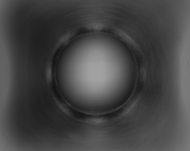 X0000100420638200806061404