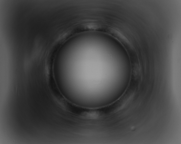 X0000100420639200806061404