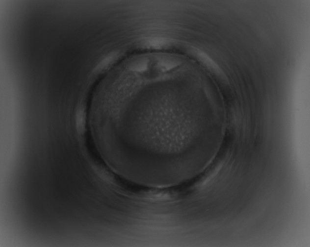 X0000100420640200806061404