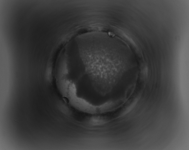 X0000100420641200806061404