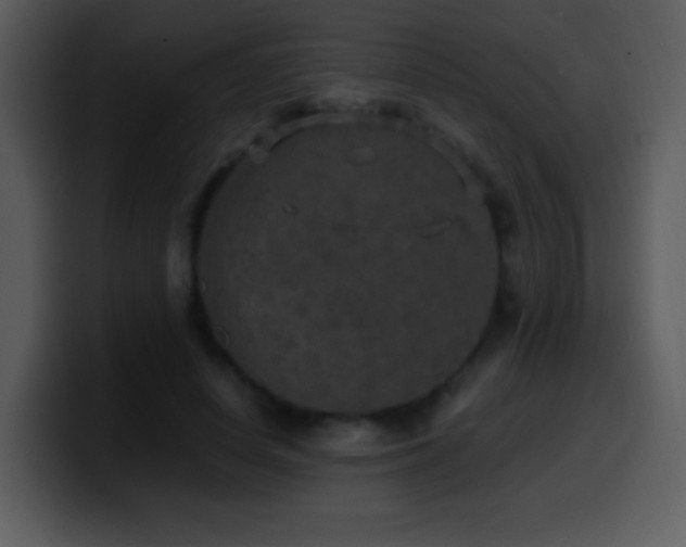 X0000100420642200806061404