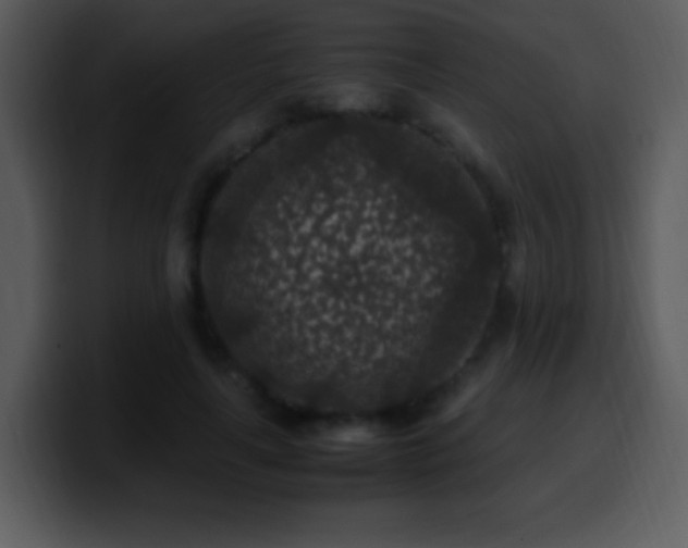 X0000100420643200806061404