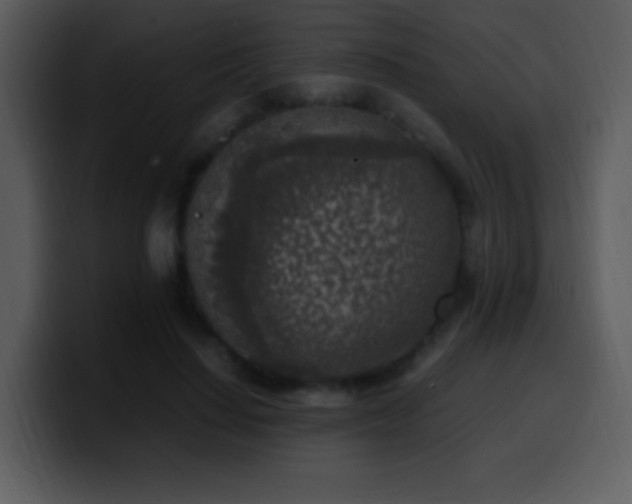 X0000100420644200806061404