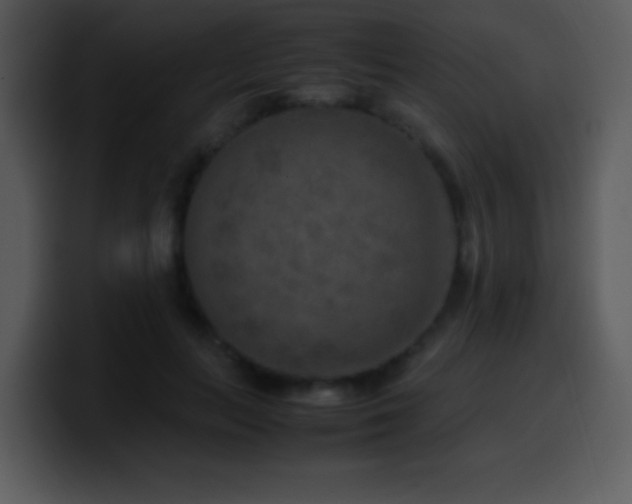 X0000100420647200806061404