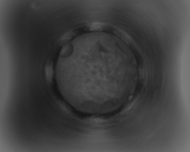 X0000100420648200806061404