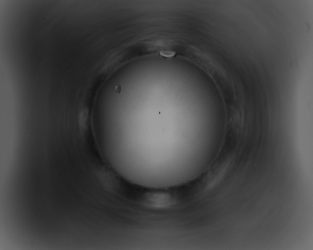 X0000100420649200806061404
