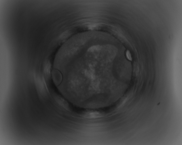 X0000100420650200806061404