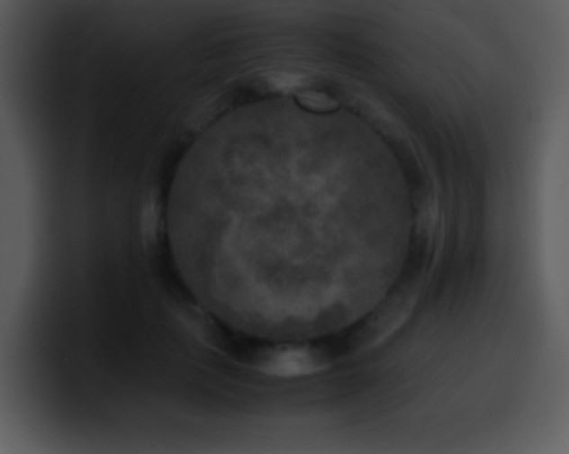X0000100420651200806061404