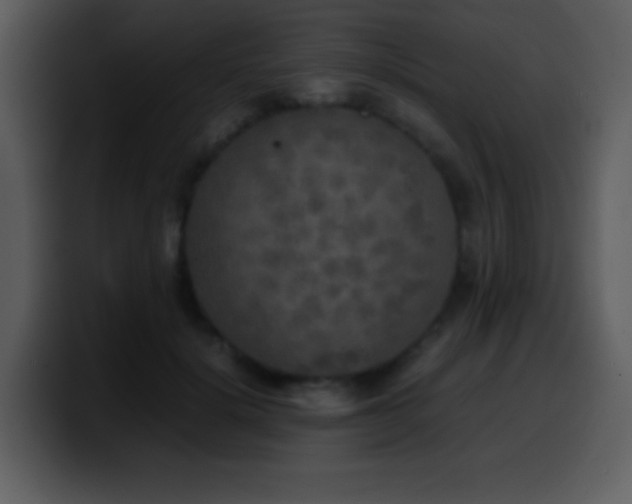 X0000100420652200806061404