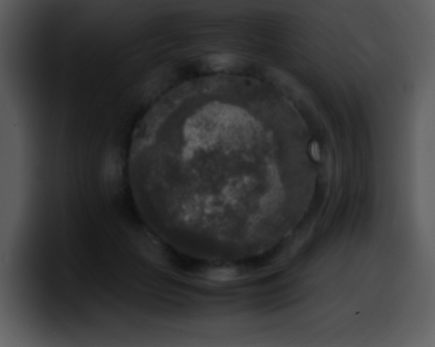 X0000100420653200806061404