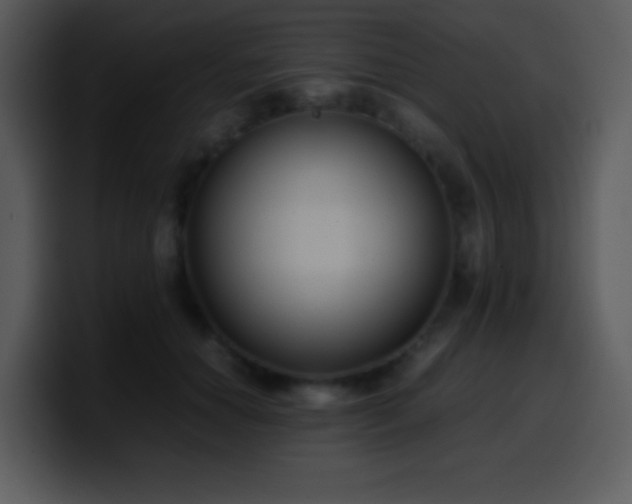 X0000100420654200806061404