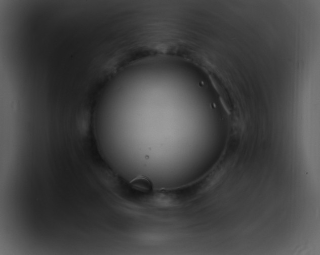 X0000100420656200806061404