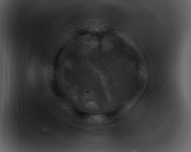 X0000100420659200806061404