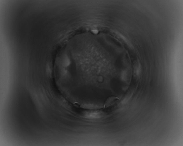 X0000100420661200806061404
