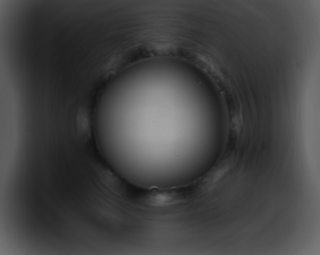 X0000100420662200806061404