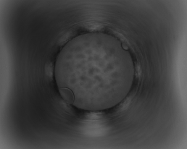 X0000100420664200806061404