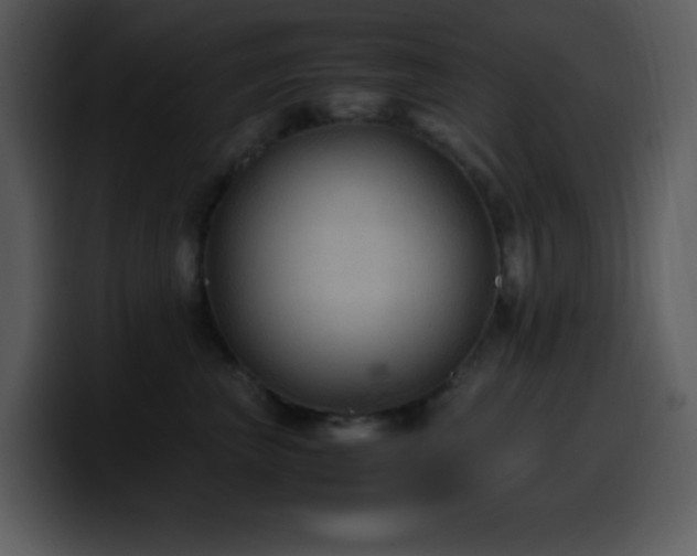 X0000100420667200806061404