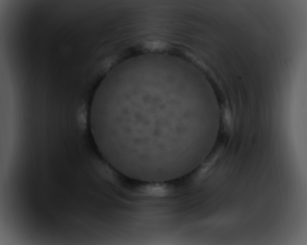 X0000100420668200806061404