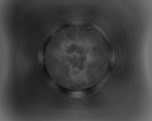 X0000100420669200806061404