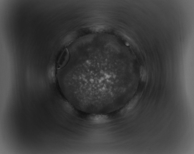 X0000100420670200806061404