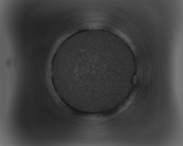 X0000100420673200806061403