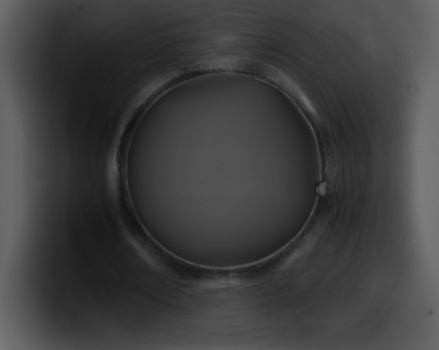 X0000100420674200806061403
